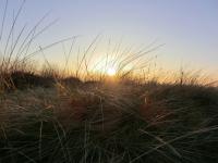 images/vermietung/kliff57-028.jpg
