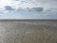 images/wissenswertes/kliff57-001.jpg