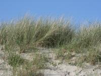 images/wissenswertes/kliff57-006.jpg