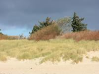 images/wissenswertes/kliff57-008.jpg